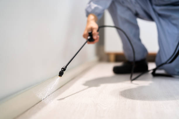 Licensed Ant Control service in Red Oak, NC - Nex Pest Control