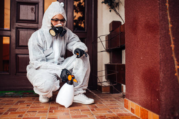 Reliable Ant Control contractor in Red Oak, NC by Nex Pest Control